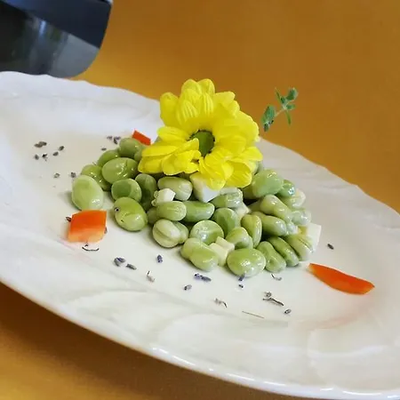 Semesteranläggning (resort) La Castellaia